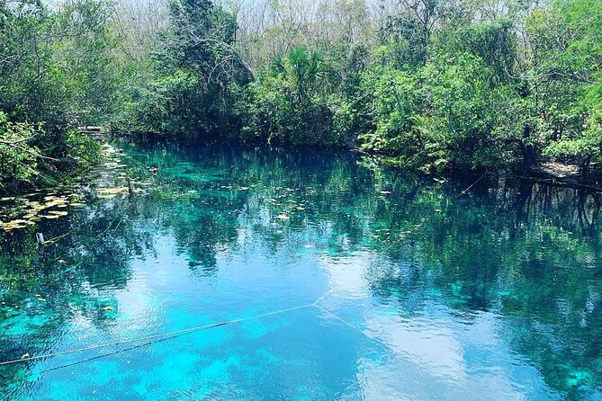 Tulum Area Experiences Guided ATV Tour to 3 Cenote's, Snorkel/Swim & Local Lunch - Price and Value: Is $174.95 Worth It?