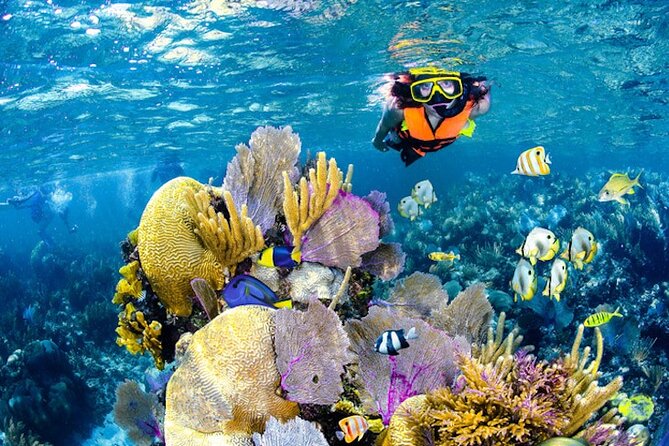 Tulum Area Experiences Guided Snorkeling Tour - Casa Cenote + Ocean Reef & Lunch - Hotel pickup and the “north of Tulum” fee reality
