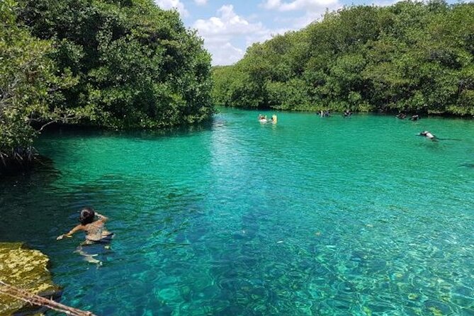 Tulum Area Experiences Guided Snorkeling Tour - Casa Cenote + Ocean Reef & Lunch - Snorkeling at Casa Cenote: what you’ll actually notice down there