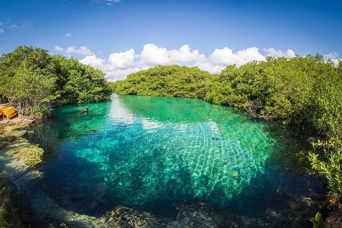 Tulum Area Experiences Guided Snorkeling Tour - Casa Cenote + Ocean Reef & Lunch - Timing and meeting point: the day starts early, then moves