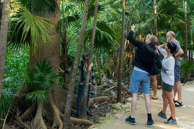 Tulum Bike Tour Tulum Maya Ruins Cenote Swimming Pueblo History Art Tacos Lunch - Lunch and Tacos: Local Food Without the Tourist Trap Energy