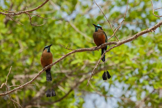 Tulum & Cenote Adventure - Stop 2: Parque Nacional Tulum and the Parque Jaguar vibe