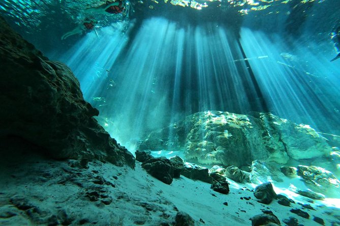 Tulum cenote diving. The ultimate experience in scuba - Why 2 Ojos and Bat Cave feel so different from a quick cenote stop