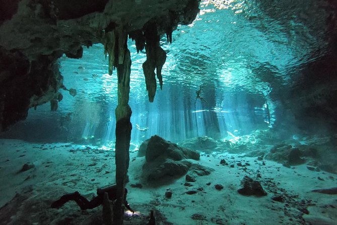 Tulum cenote diving. The ultimate experience in scuba - Value check: what you get here, and how it compares to piecing it together