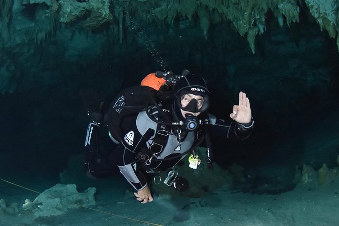Tulum cenote diving. The ultimate experience in scuba - The 8:00 hotel pickup flow and how the 3 to 5 hours typically feel