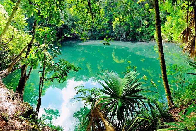 TULUM, CENOTE, MYSTIKA MUSEUM, TURTLES SNORKELING (Private) - Turtles snorkeling: the fun part, with a key logistics check