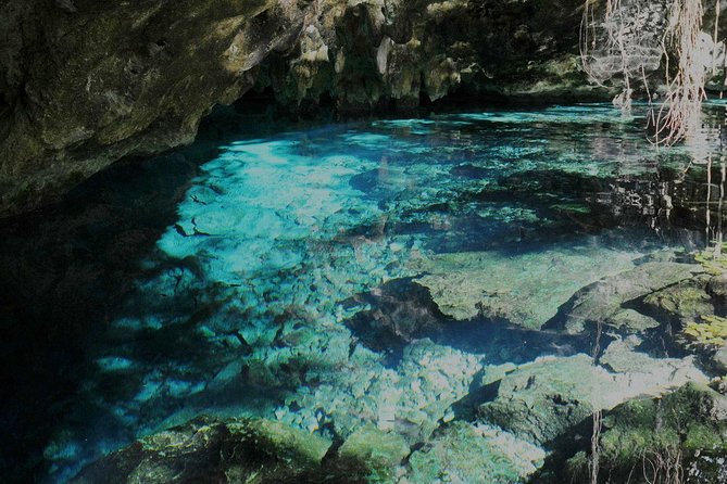 TULUM, CENOTE, MYSTIKA MUSEUM, TURTLES SNORKELING (Private) - Price and value: is $260 per person a smart deal?