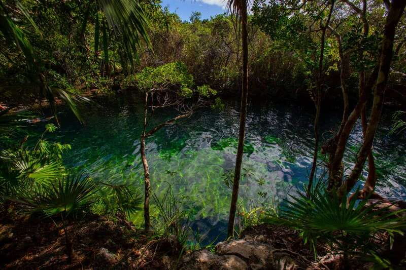 Tulum: Cenote Trail Bike Tour - Snorkeling, Swimming, and Cliff-Jump Moments: How to Prepare