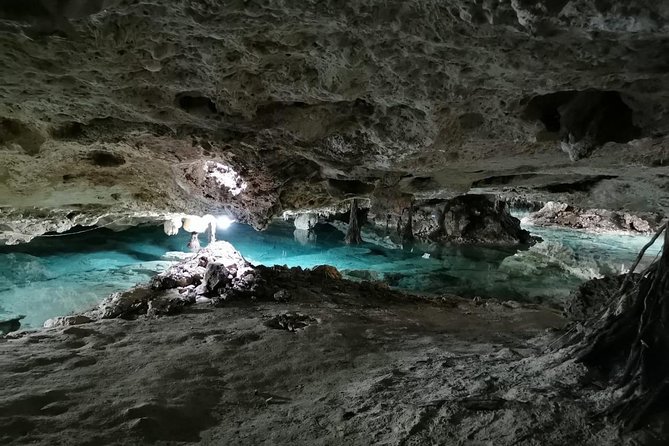 Tulum & Cenotes Private Tour - Who This Private Tour Is Best For