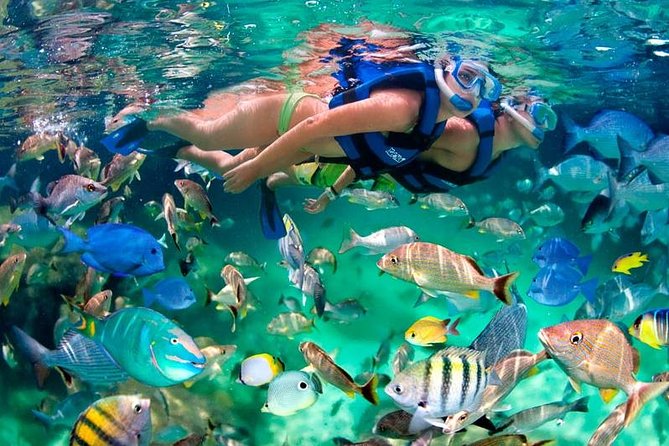 Tulum Coba Akumal Snorkel tour Premium Service Small Group - How this 10-hour route fits first-timers and time-pressed days