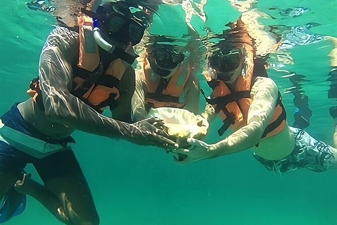 Tulum Day Trip: Pyramids + Reef Snorkel & Cenote Swim - Stop 3: Cenotes Labnaha & Eco Park Forest Swim