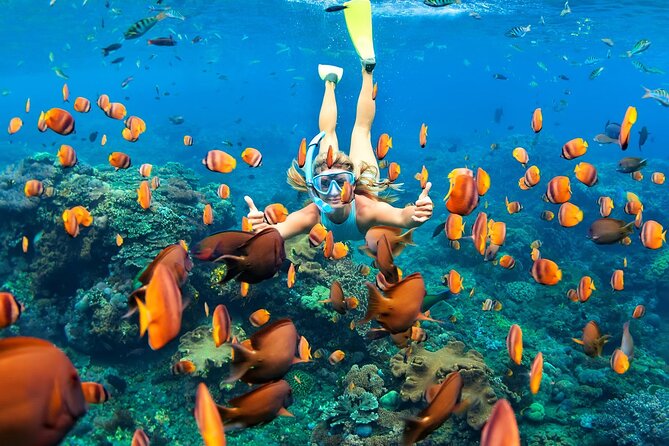 Tulum Day Trip: Pyramids + Reef Snorkel & Cenote Swim - Money Matters: How the $85 Works (and What’s Not Included)