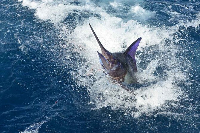 Tulum Deep Sea Fishing Tour - Price and Value for a Group of Four