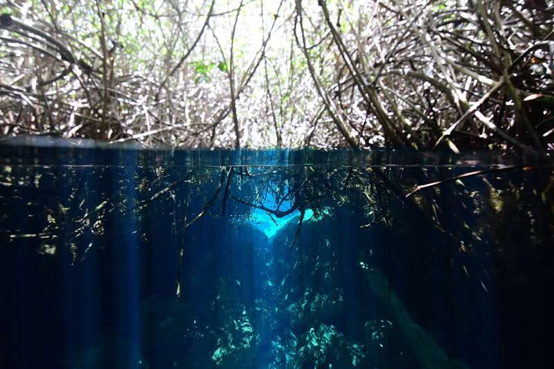 Tulum: Discover Scuba Diving in Cenotes - Key Things I’d Focus On