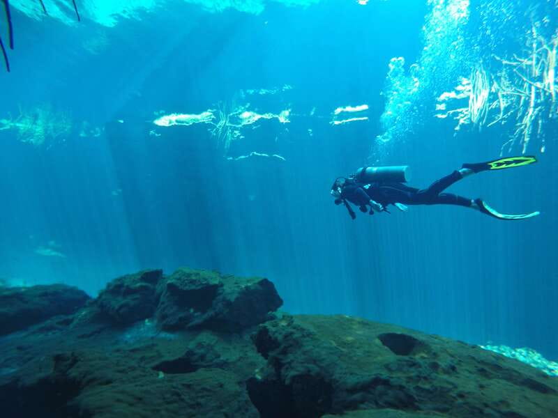 Tulum: Discover Scuba Diving in Cenotes - The Cenote Experience: Mangroves, Light, and Underwater Life