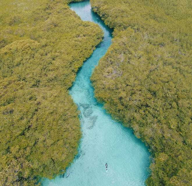 Tulum: Discover Scuba Diving in Cenotes - Price and Value: What $180 Covers (and What It Doesn’t)