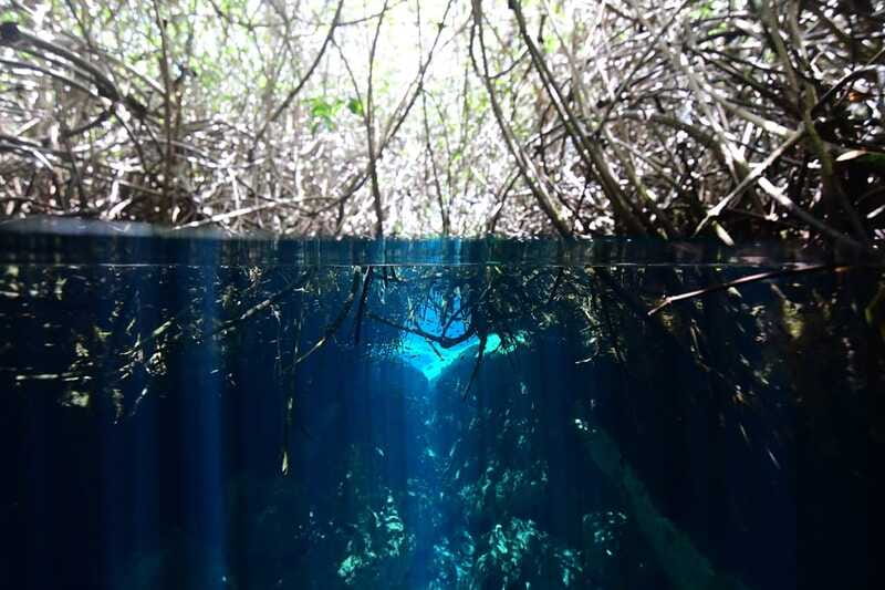 Tulum: Discover Scuba Diving in Cenotes - Meeting Point at Agua Clara and How to Avoid Timing Headaches