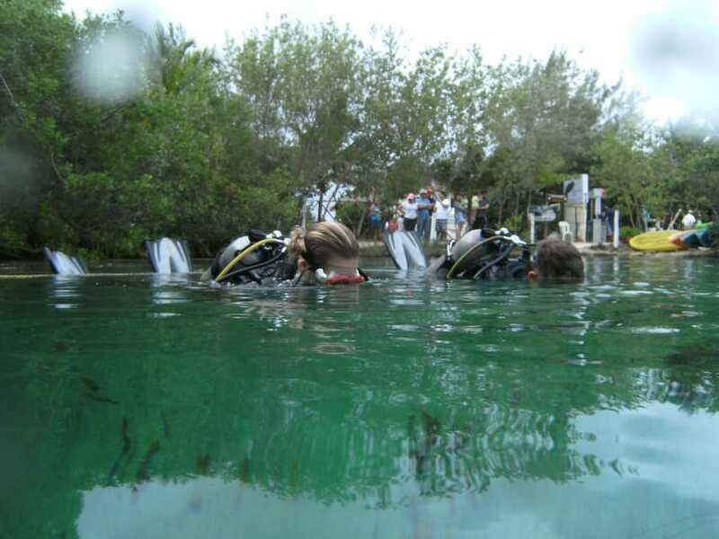 Tulum: Discover Scuba Diving in Cenotes - Who This Tour Fits Best (and When to Choose Something Else)