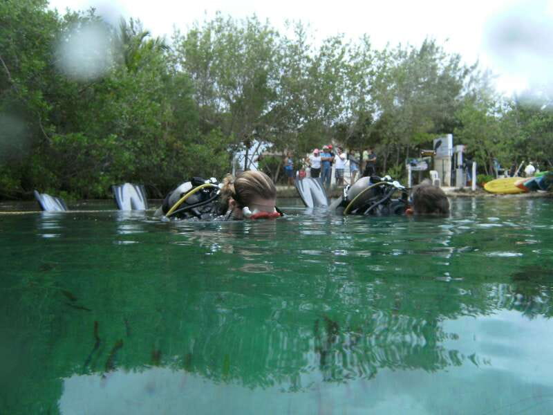 Tulum: Discover Scuba Diving in Cenotes - Inside the 4 Hours: Class, Skills Practice, and Underwater Time
