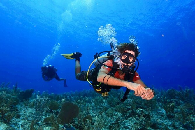 Tulum Diving (Reef) 2 Tanks - Key highlights you’ll feel on day-of