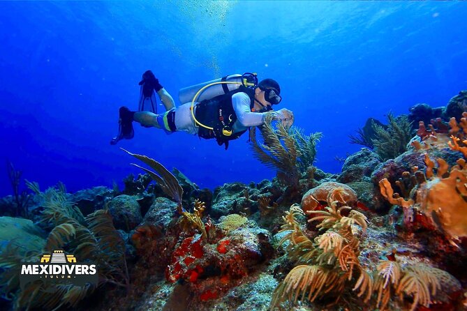 Tulum Diving (Reef) 2 Tanks - Mexidivers at 8:30 am: the start that sets the tone