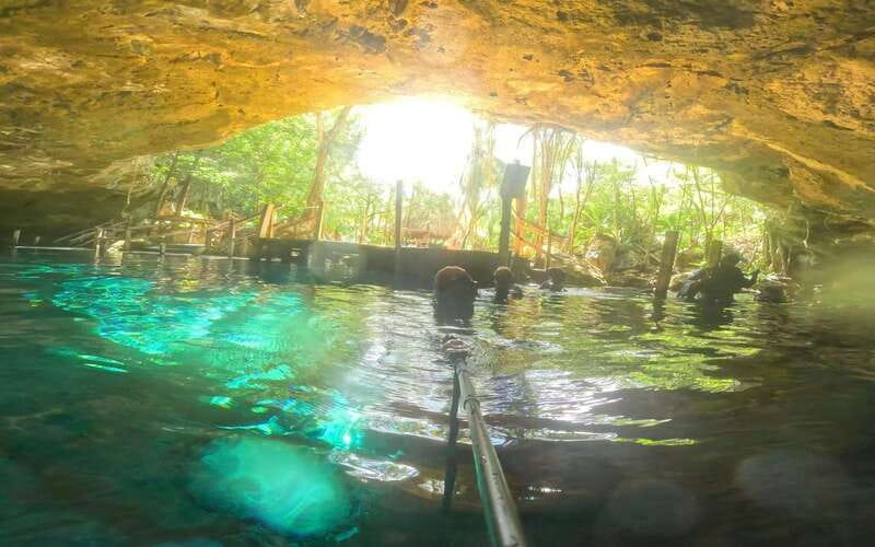 Tulum: Dos Ojos Cenote 2 Scuba Dives with Transfer Option - Key things I’d highlight before you go