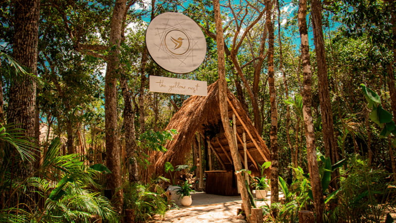 Tulum: Floating Breakfast in The Yellow Nest (Day Pass) - The Floating Breakfast on an Artisanal Tray (Yes, It’s the Main Event)