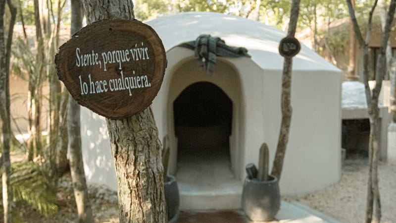 Tulum: Floating Breakfast in The Yellow Nest (Day Pass) - The Yellow Nest Facilities (What You Actually Do After the Big Moments)