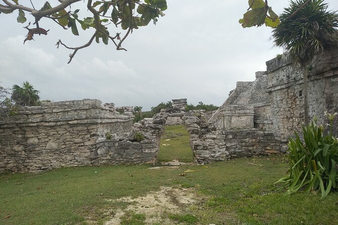 Tulum Guided Tour and Cenote Swim from Playa del Carmen - Should you book this Tulum guided tour and cenote swim?