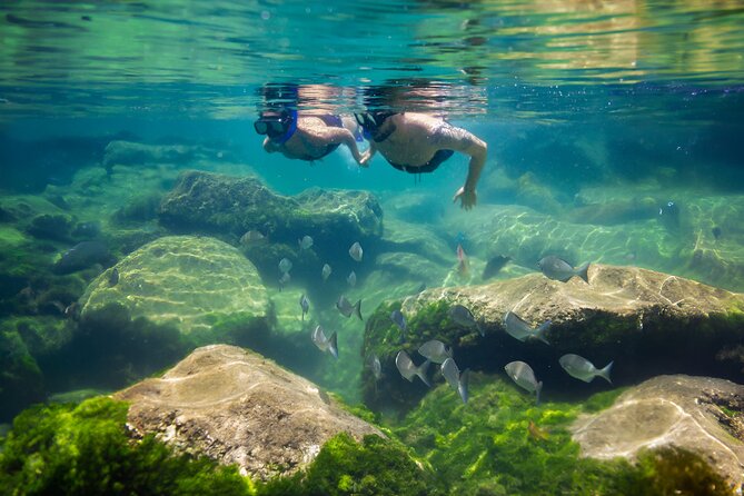 Tulum Guided Tour, Magical Cenote, Lagoon Snorkeling and Beachside Lunch - Stop 4: Punta Venado Beach Club Lunch (and Why It’s Later Than You Expect)