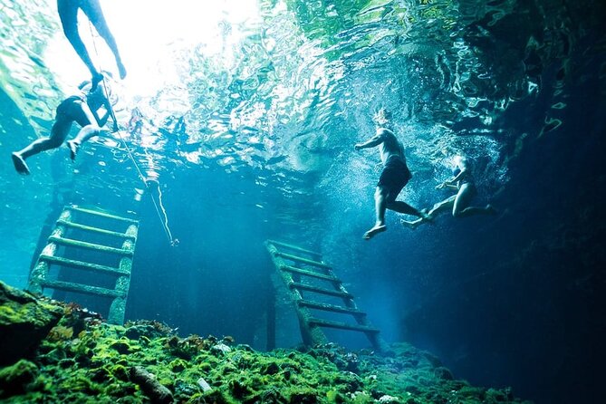 Tulum Jungle Experience with ATV, Ziplines, and Cenote - The ~4-meter rappel: short, controlled, and very technical-feeling