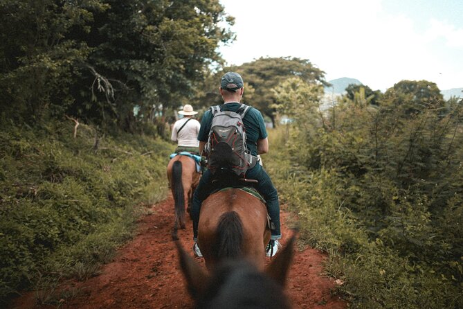 Tulum Jungle Horseback Ride + ATV + Ziplines + Cenote Combo Tour - Lunch and drinks: tacos, hydration, and what to watch for