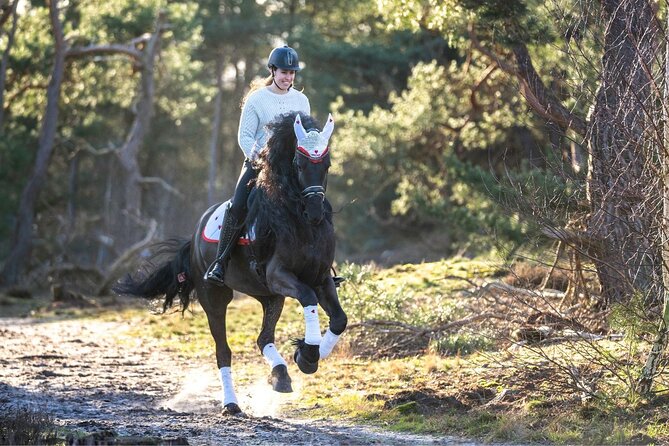 Tulum Jungle Horseback Ride + ATV + Ziplines + Cenote Combo Tour - Price and what $125 really covers
