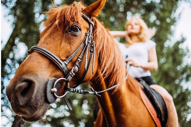 Tulum Jungle Horseback Ride + Cenote Dip & Traditional Lunch - Traditional lunch: included fuel, local flavors, and the alcohol note