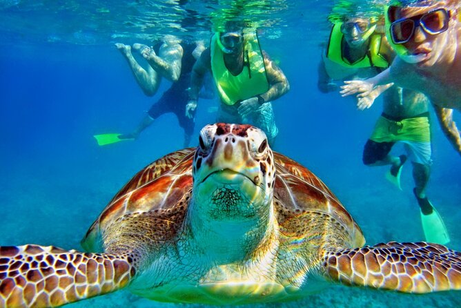 Tulum Mayan Ruins and Snorkeling with Turtles at Akumal - What you’re really paying for: $119 plus a cash-only day fee
