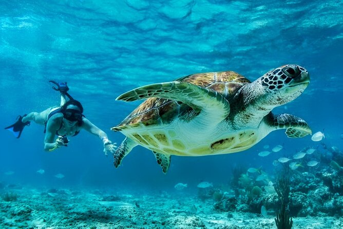 Tulum Mayan Ruins and Snorkeling with Turtles at Akumal - Price vs. total cost: what adds up and what’s covered