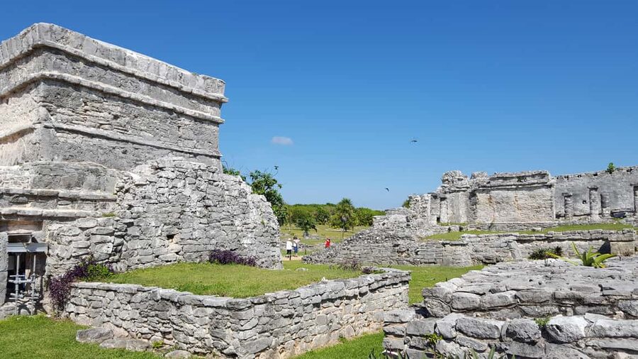 Tulum: Mayan Ruins & Sian Kaan Tour with Boat Ride and Lunch - Who Should Book This Tour