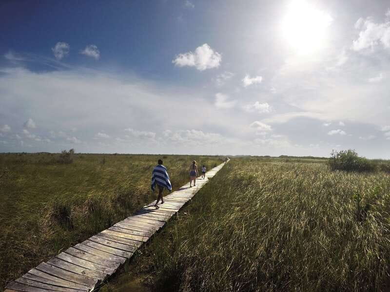 Tulum: Mayan Ruins & Sian Kaan Tour with Boat Ride and Lunch - Price and Value: Is $169 Fair for This Mix?