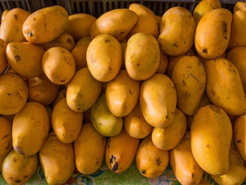 Tulum: Mexican Cooking Class in Local Home - Who This Class Is Best For (and Who Might Skip It)