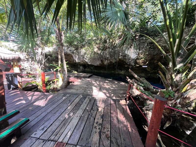 Tulum Mexico: Cenote Triple Adventure Tour - Stop 1: Gran Cenote for Cave Light and First Snorkel Moments