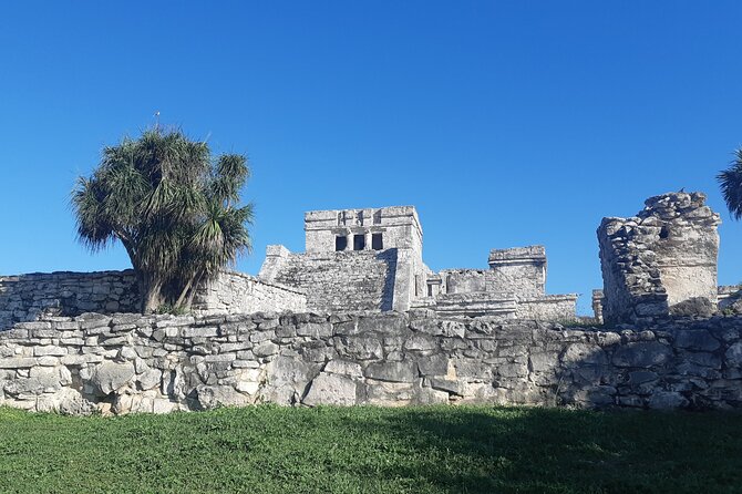 Tulum Private Boat Tour & Turtle Snorkeling Experience - When Water Conditions Change Your Snorkeling Plan