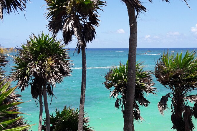 Tulum Private Boat Tour & Turtle Snorkeling Experience - Getting to the Right Places: Playa del Carmen Pickup Notes