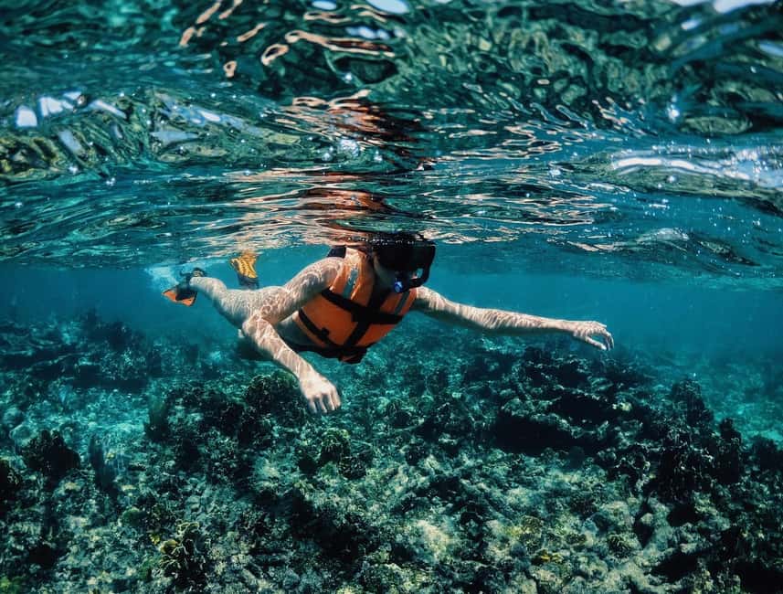 Tulum: Private Snorkel and Sailing Experience - Jaguar National Park extras: viewpoints, trails, and the Mayan museum