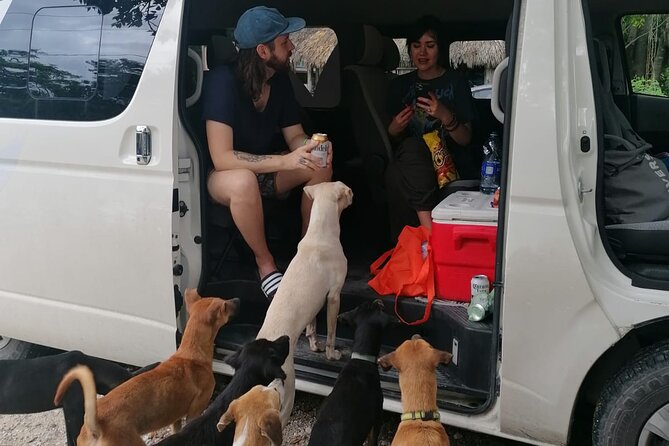 Tulum Private Transportation - On-time service and real communication with David and Julio