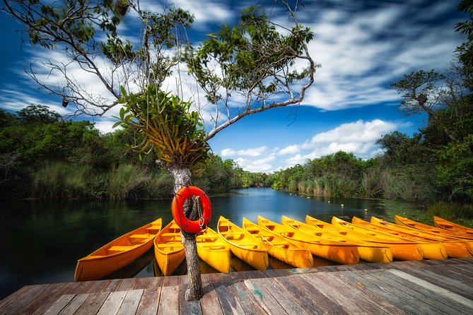 Tulum Ruins and 3 Cenotes - Jungle Adventure - What’s Included in the $199, and Where Extra Fees Can Appear