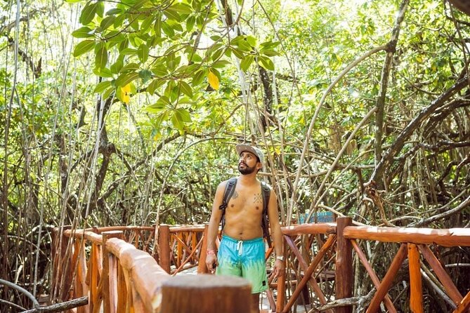 Tulum Ruins & Casa Tortuga Eco Tour! 4 Cenotes from Tulum City - Lunch on the move: boxed meal plus one restaurant dish