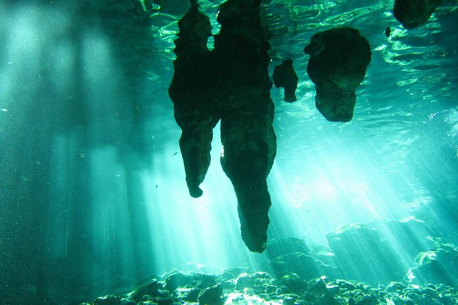 Tulum Ruins & Cenote guided private tour from Tulum and Riviera Maya. - Transportation from Tulum Hotels: Easy Pickup, Watch the Extra Fees