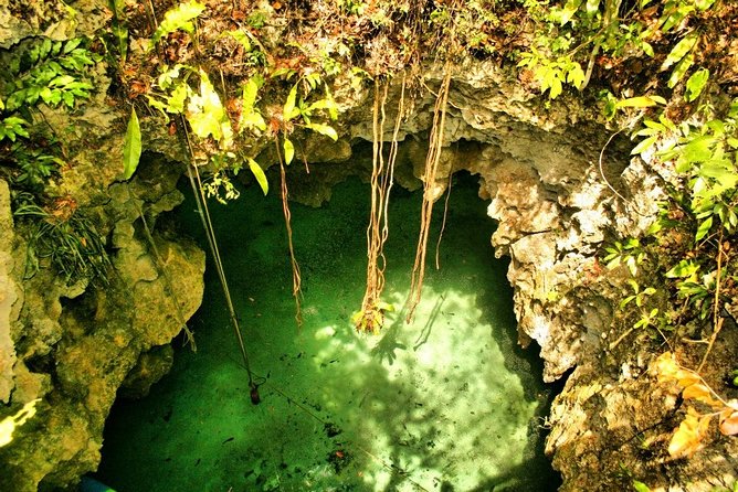 Tulum Ruins & Cenote guided private tour from Tulum and Riviera Maya. - What to Pack for a Smooth Ruins + Cenote Half Day