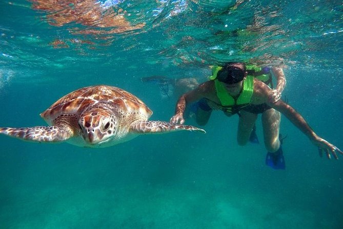 Tulum ruins swim with turtles in Akumal and Cenote - Why This Tulum–Akumal–Cenote Plan Makes Sense