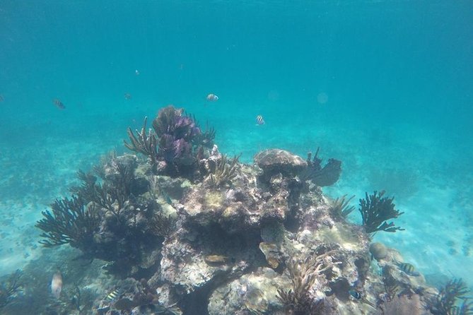 Tulum ruins swim with turtles in Akumal and Cenote - Group Size: The Sweet Spot (and What to Expect)